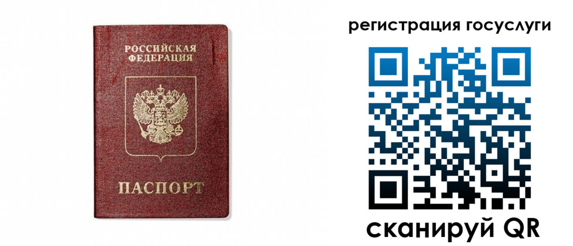прописка паспорт в Жирновске